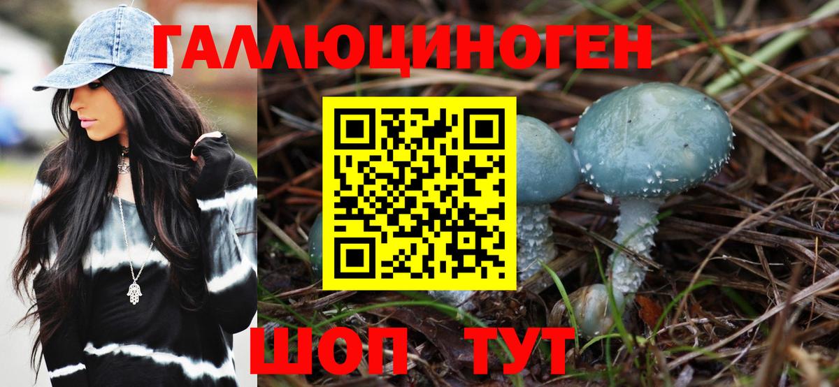 Псилоцибиновые грибы Psilocybine cubensis Туапсе